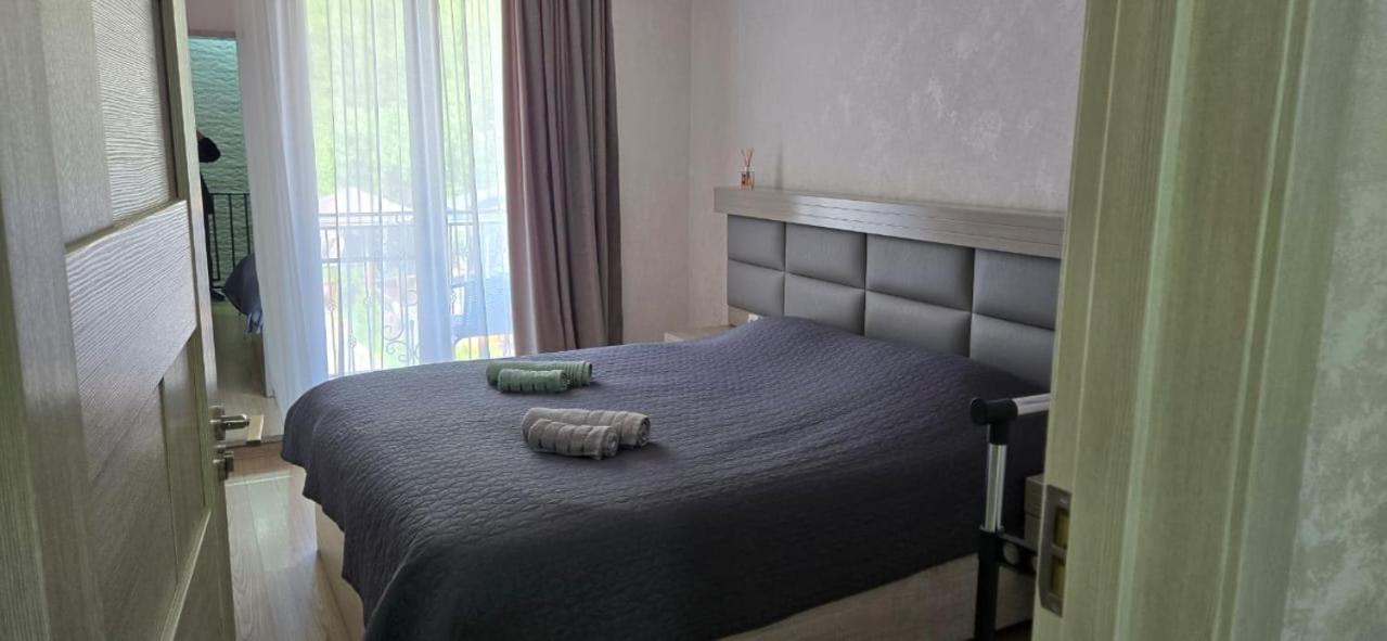 博尔若米My House别墅 外观 照片